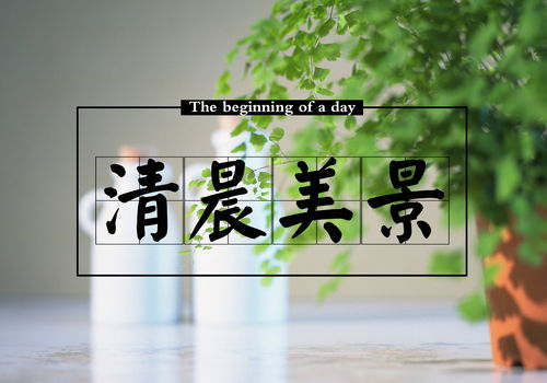 初中作文素材:经典美文摘抄100字