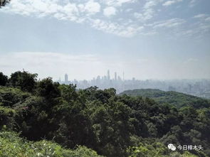 天堂顶自驾徒步指南天堂顶旅游指南