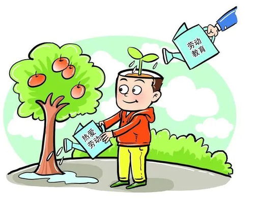 实践过程是怎么样的?