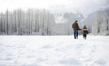 大雪纷飞的意思