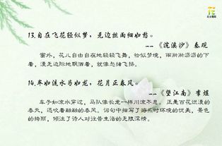 关于运用了比喻手法的诗句有哪些
