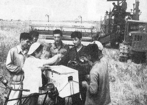 1963年中国发生了什么，1963年属兔的是什么命
