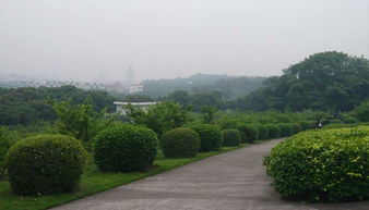 紫马岭公园地图，紫马岭公园有什么动物