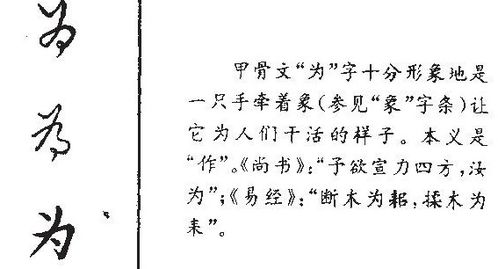 文言文里遂什么意思