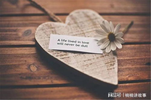 关于母爱的优美句子100字，关于母爱的优美句子开头和结尾