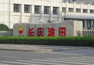 为什么选择长庆石化公司