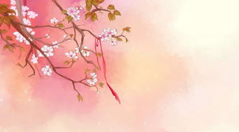 桃花拼音