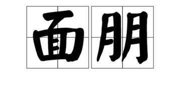 朋朋友的朋可以组什么词，朋可以组什么词朋友的朋可以组什么词