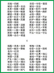 过程的近义词有哪些，具备的近义词