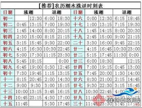 厦门潮汐表大鱼，厦门潮汐表查询 彩虹沙滩