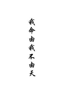 不由的近义词是