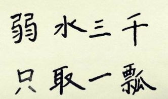 任凭读音