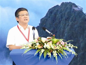 林光辉，林光如