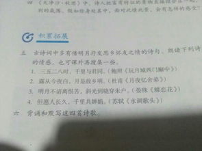 玩月城西门廨中原文及翻译，玩月城西门廨中读音