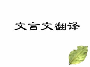 人琴俱亡文言文翻译20字，人琴俱亡文言文翻译古诗文网