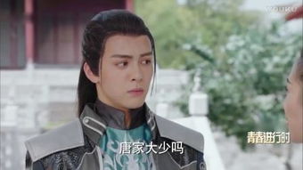 唐棠小说，唐棠的快穿小说辞奺