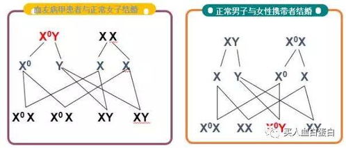 凝血酶原复合物能加入生理盐水吗