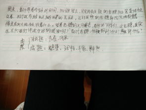 有关青春的作文800字