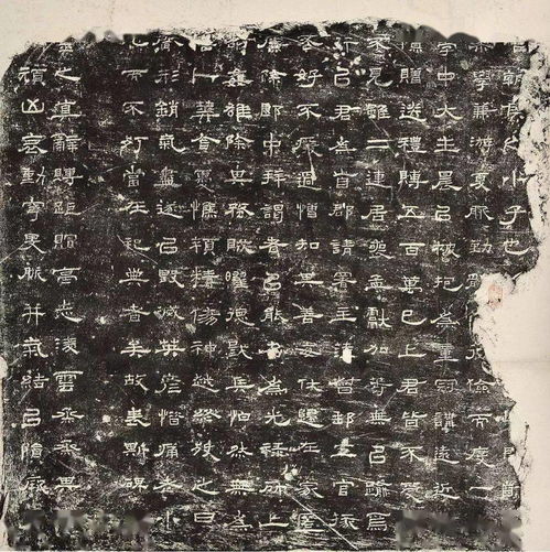 拓本和摹本的区别，拓本的拓怎么读
