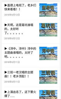 非官方应用什么意思