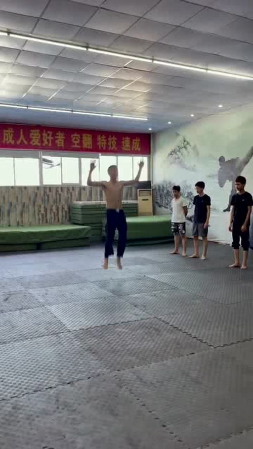 歌词迎着风去追是什么歌