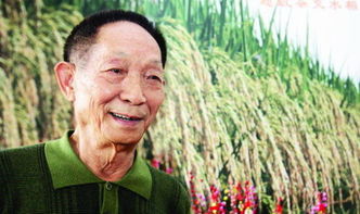 袁隆平的事迹介绍