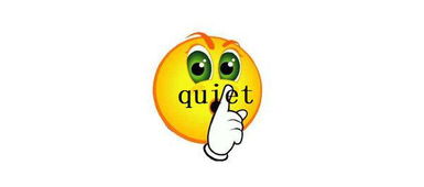 quiet怎么读中文谐音，hair怎么读