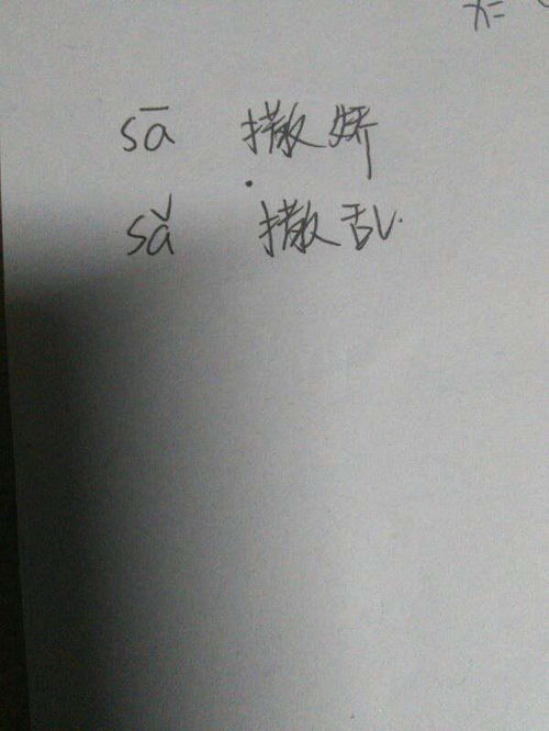 撒多音字怎么组词，撒多音字注音组词