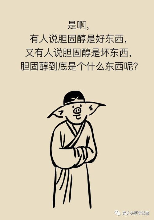 ﻿是是非非什么意思?出处是哪里?