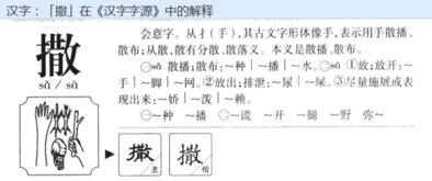 撒是什么多音字?