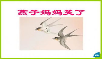 燕子课件背景图片，燕子课件简介和创作说明