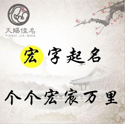 宏图大志还是鸿图大志