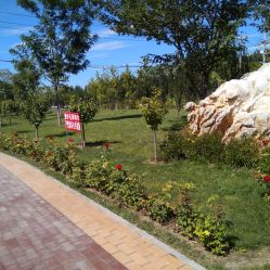 狼垡城市森林公园，狼垡附近宾馆