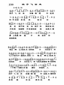求《鸽子》的吉他独奏曲谱