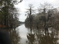 swamped，swamp是什么意思