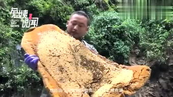 “骞”字怎么读?