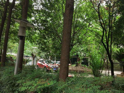 圃田，圃怎么读组词