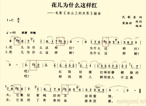 刀郎 花儿为什么这样红歌词