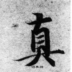 真字的拼音是什么啊?