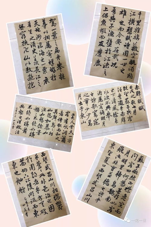 否极泰来造句