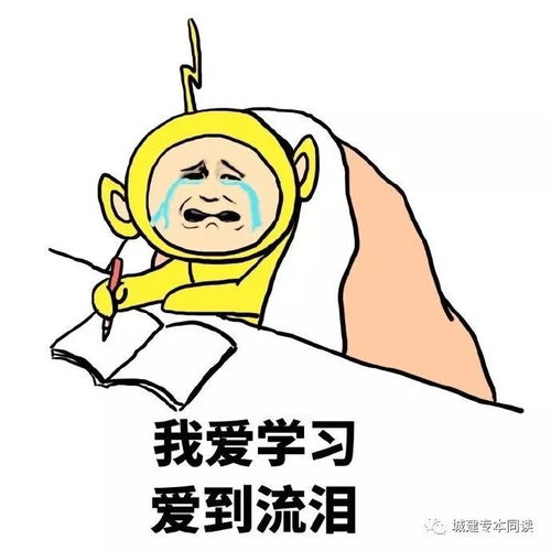 思维是什么意思举例子，内倾思考是什么意思