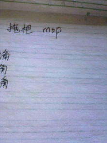 喷水拖把英文，拖把英文怎么读音发音