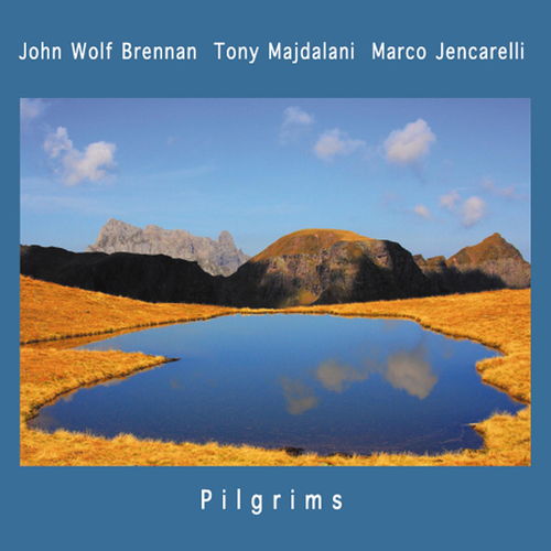 英文名词解释the pilgrims