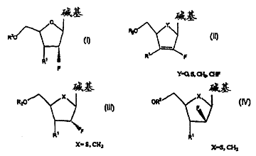 核苷名词解释
