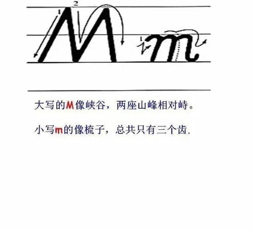 活该英文怎么拼