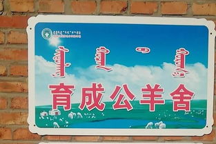 扶贫干部参加脱贫攻坚专题培训班心得体会七篇
