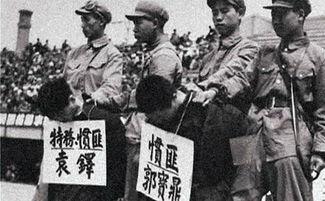 肃反运动是哪一年开始的，肃反委员会表情包