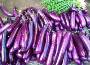 茄子英语怎么读eggplant，茄子英语拼写
