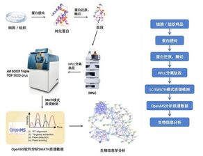 swath是什么意思