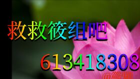 篮组词，筷组词
